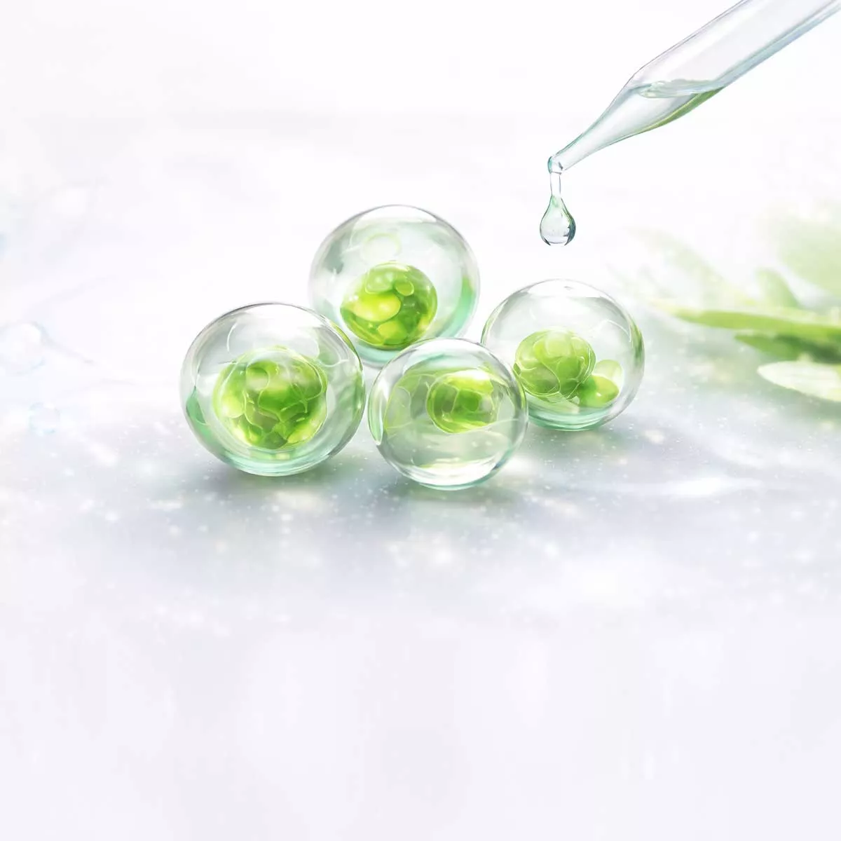 GLACIAR | Intensive Feuchtigkeitspflege